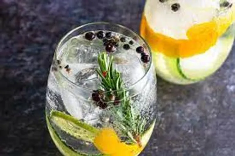 Coctel Gin Tonic 