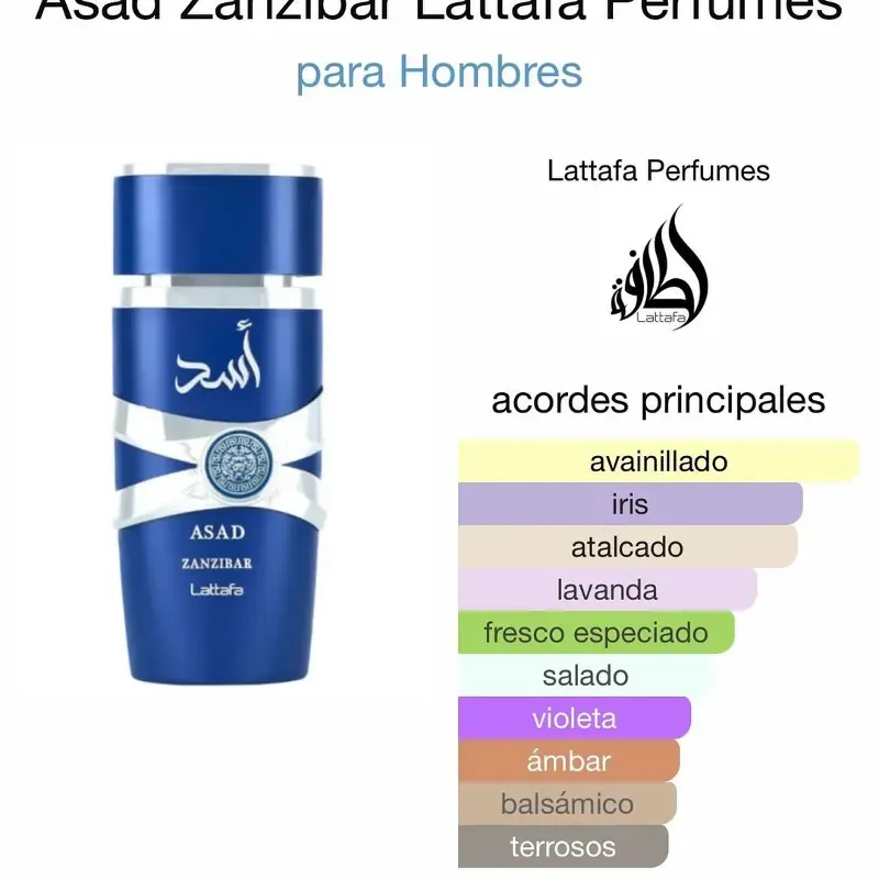LATTAFA - Asad Zanzibar 100ml