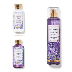 Set Fresh Cut Lilacs