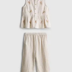 Conjunto de petalos de rosas