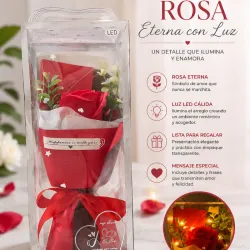 Rosa Eterna con Luz LED ✨🌹