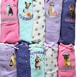 Set de braguitas de niñas de animalitos.