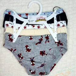 Set de calzoncillos