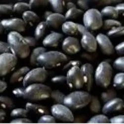 Frijoles negros 