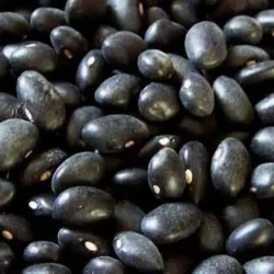 Frijoles 