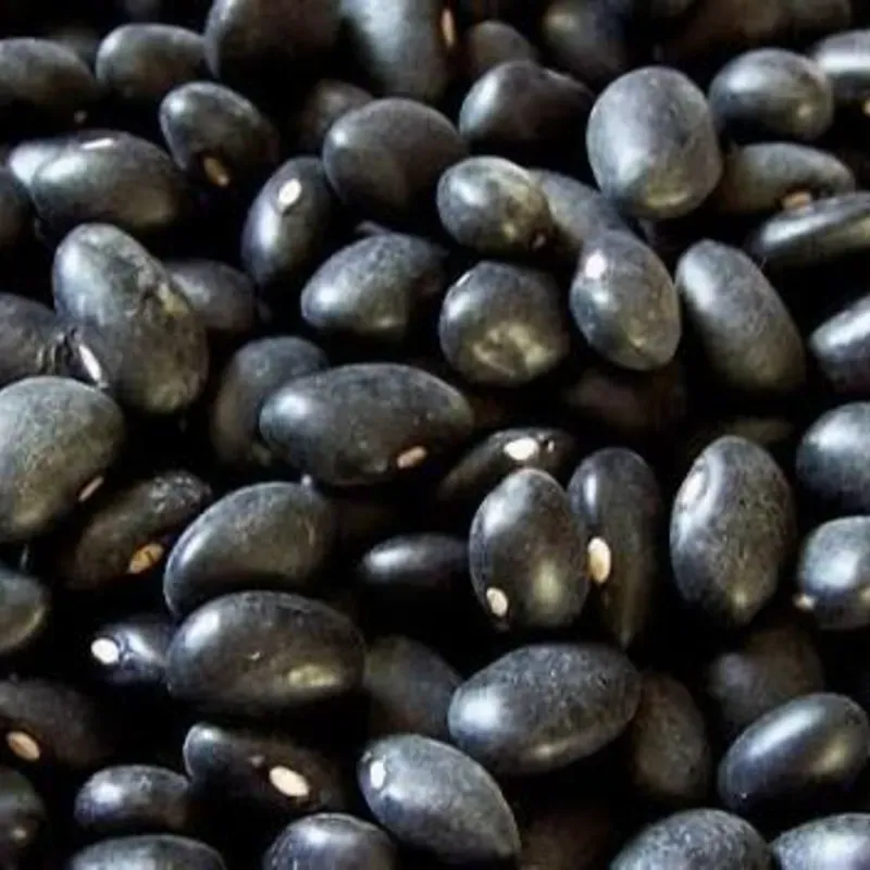Frijoles 
