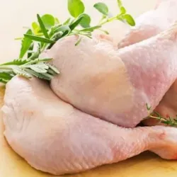 Pollo