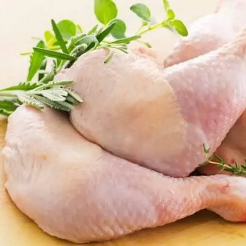 Pollo