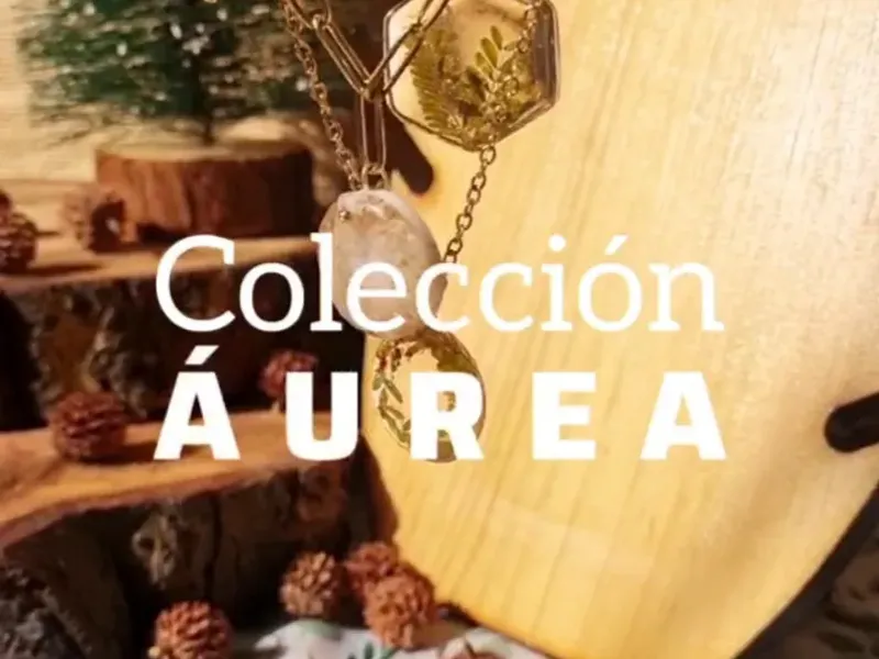 COLECCIÓN ÁUREA ✨️