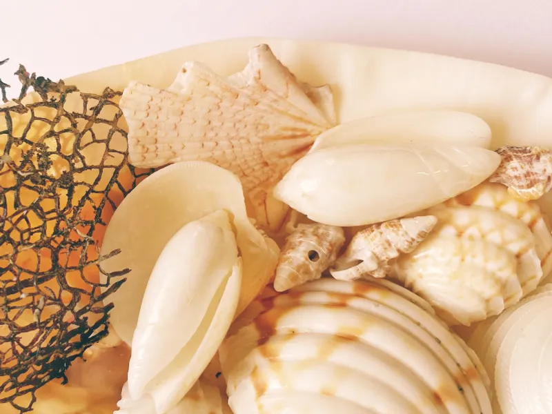 COLECCIÓN MAR ADENTRO 🐚🌊☀️