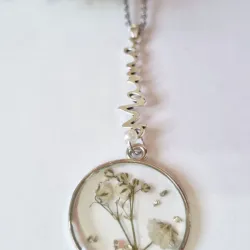 Mamá_gypsophila
