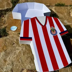 Camisa de Fútbol 