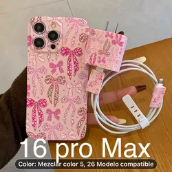 Set de funda cargador + funda celular 16 pro Max