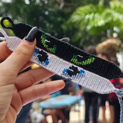 Chimuelo y Furia Luminosa