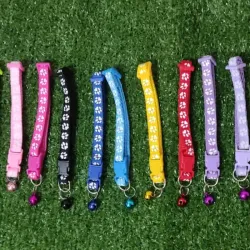 Collares para mascotas 