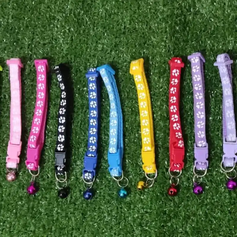 Collares para mascotas 