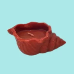 Vela aromática de caracol