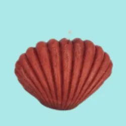 Vela aromática de concha