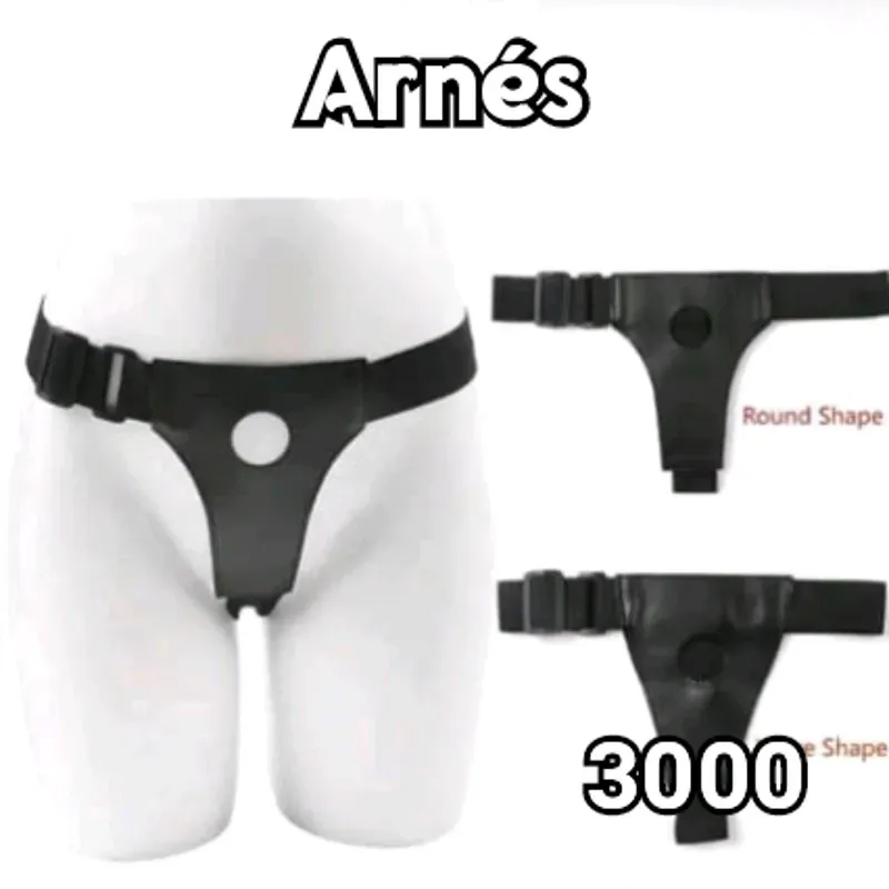 Arnés 