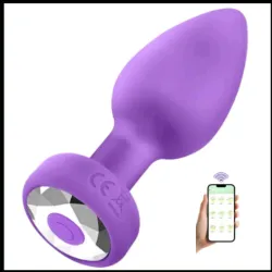 Plug Anal Vibrador