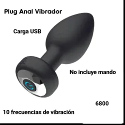 Plug Anal Vibrador (T)