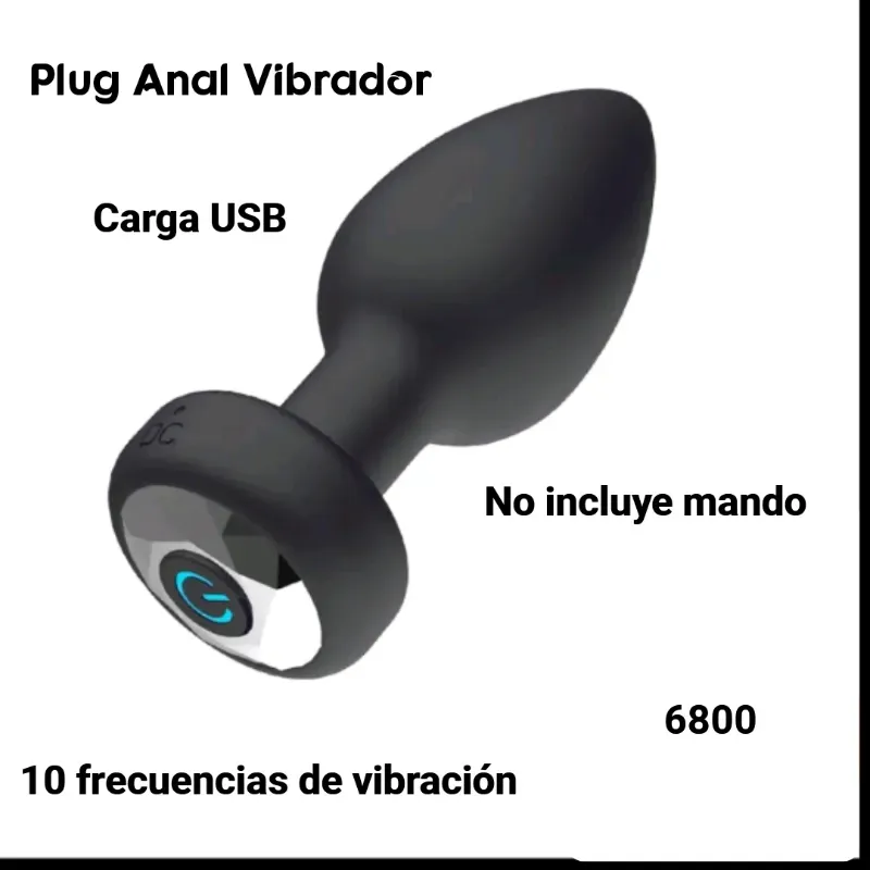 Plug Anal Vibrador (T)