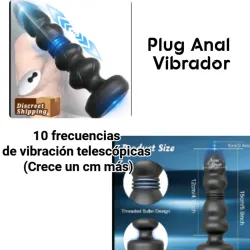 Plug Anal Vibrador (T)