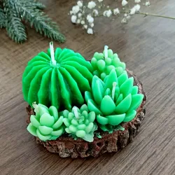 Terrario de captus