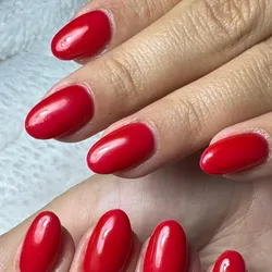 Manicura Sistema Molde Dual