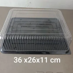 Domos rectangular 36x26x11