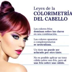 🎨 Colorimetría Capilar