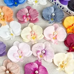 Orquídeas (pinza)
