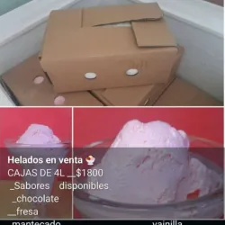 Cajas de helado 4L