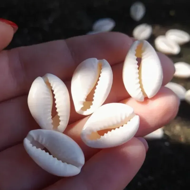 Caracolas estilo natural color hueso 