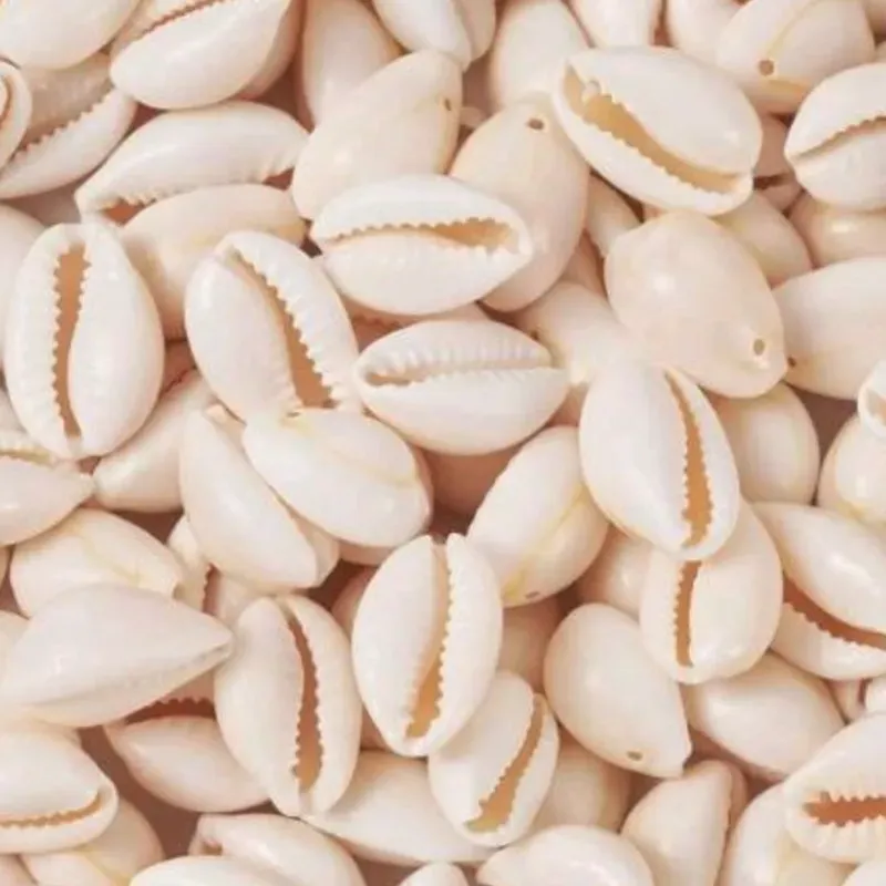 Caracolas naturales colgantes