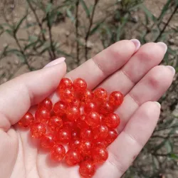 Perlas craqueladas  rojas de 8 mm 