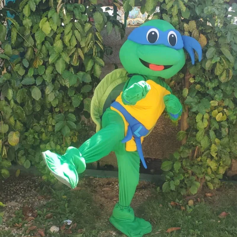 Tortuga Ninja