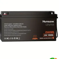 Humsienk 24V 100Ah 2560Wh