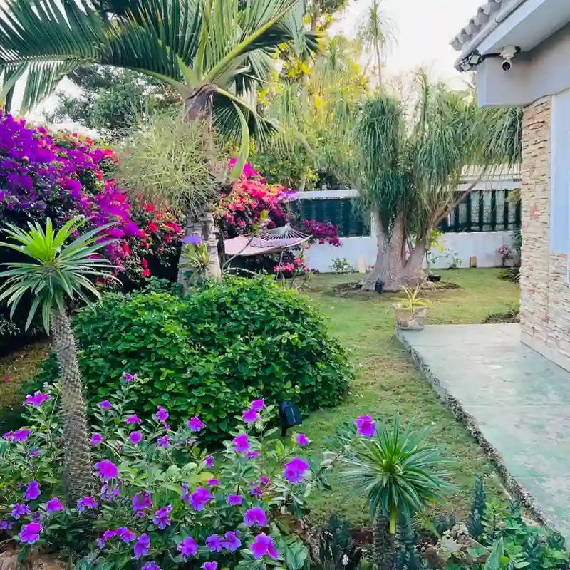 VENTA | CASA INDEPENDIENTE EN SANTA FE, PLAYA 🌴