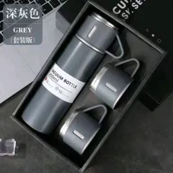 Termo Gris