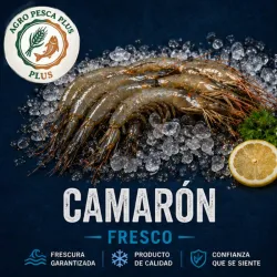 Camaron