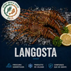 Langosta