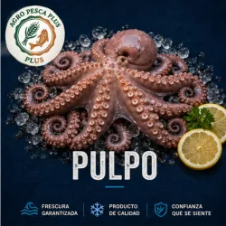 Pulpo