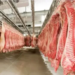 Cerdo entero por libras