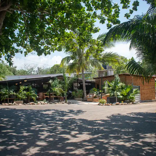 El Sabor de la Cocina Cubana en Restaurante Al Campestre es una experiencia auténtica, donde cada plato refleja la tradición y el carácter de nuestra gastronomía. Aquí, el arte de cocinar al carbón realza los aromas y sabores típicos de Cuba, ofreciendo delicias campestres que llegan directamente a tu mesa o a la puerta de tu hogar en La Habana. Disfruta recetas elaboradas con ingredientes frescos y el toque inconfundible del fuego, en un ambiente que celebra lo mejor de la cocina cubana, desde los clásicos hasta las especialidades más tradicionales
