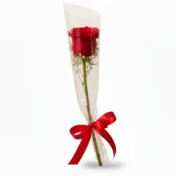 Soliflor de Rosa Roja - Adornado con Lazo