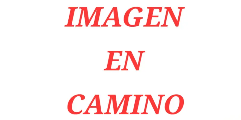 Hamburguesa Al Norte