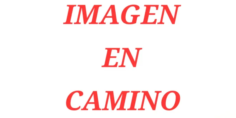 Hamburguesa Americana