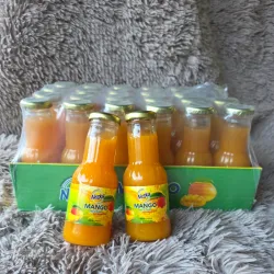 🥭- Caja de 24 jugos