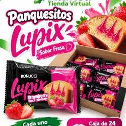 📦 - Caja de 24 Panquesitos Lupix - Fresa
